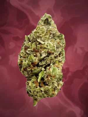 Pink Gatorade High-Quality Flower