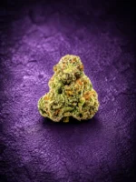 Star Beltz - Mixed Light Exotic Indoor Flower