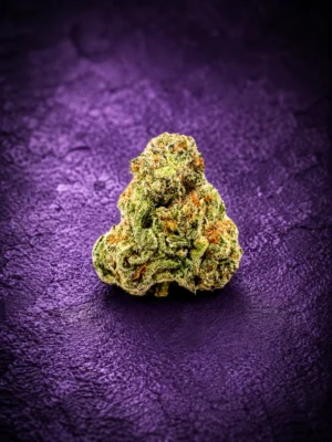 Star Beltz - Mixed Light Exotic Indoor Flower