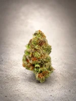 Peach Blizzard - Seasonal Exotic Flower