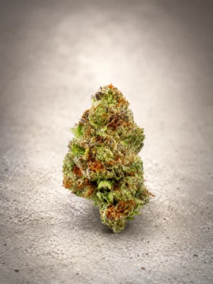 Peach Blizzard - Seasonal Exotic Flower