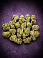 Star Beltz - Bulk