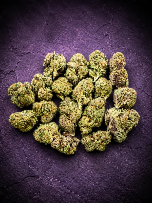 Star Beltz - Bulk