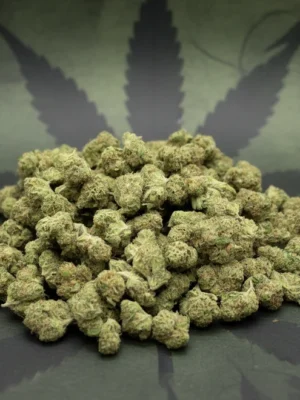Pineapple Rockets Light Assist Indoor Smalls