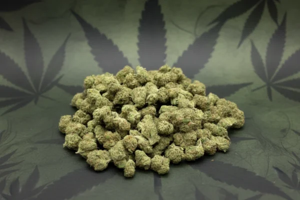 Pineapple Rockets Light Assist Indoor Smalls