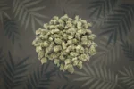 Princess Cut Premium Indoor Micros